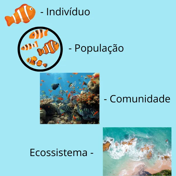 Imagem do exercício