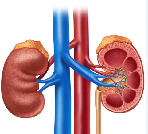 Imagem ilustrativa do exercício - clique para ampliar