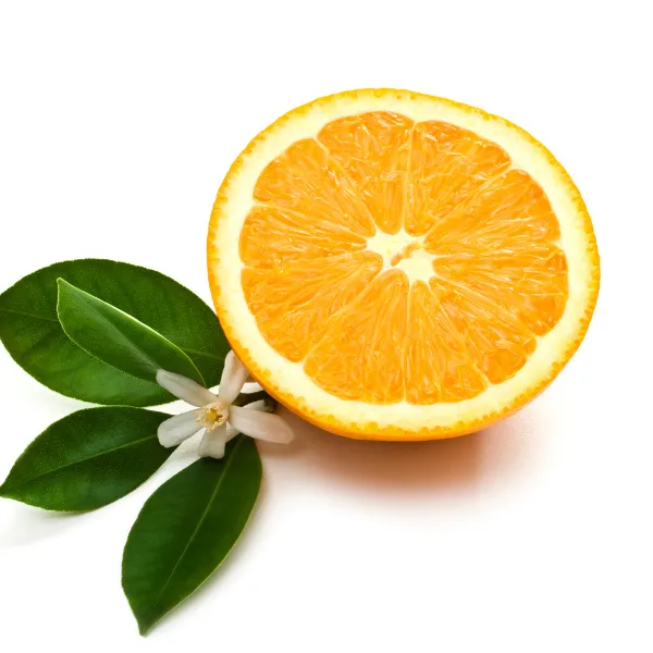 Imagem do exercício
