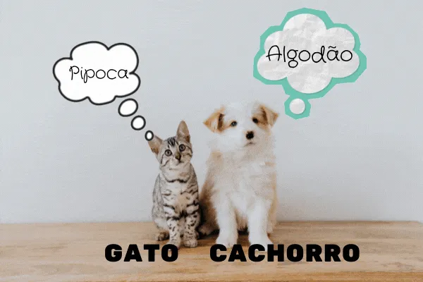 Imagem do exercício