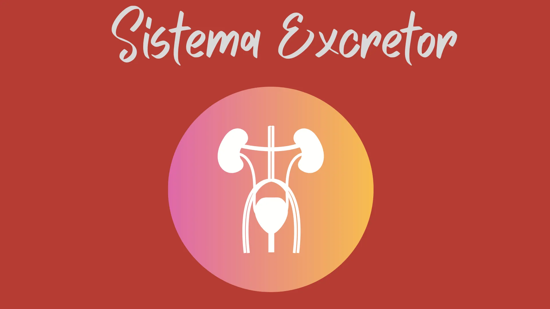 Imagem do exercício