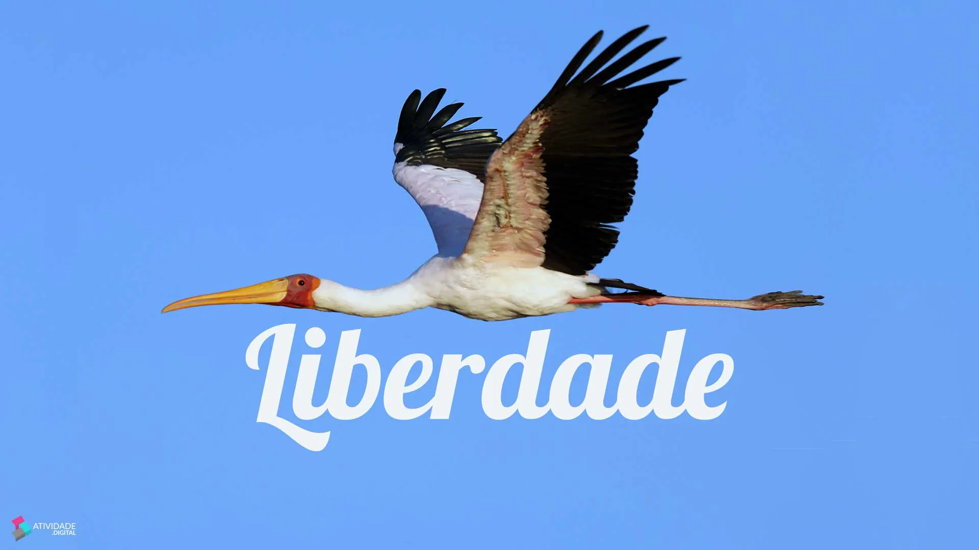 Liberdade, um direito precioso