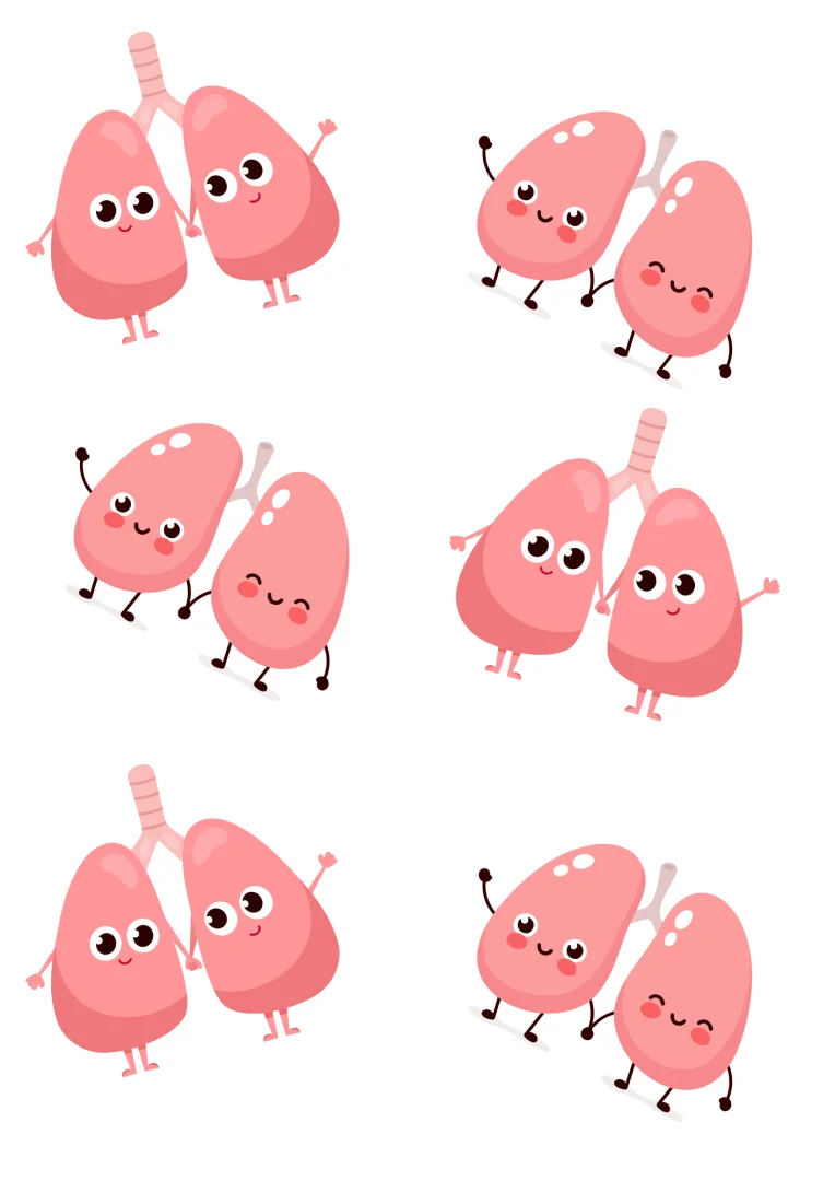 Sistema Respiratório