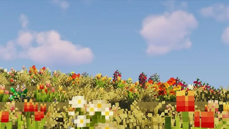 Imagem da questão