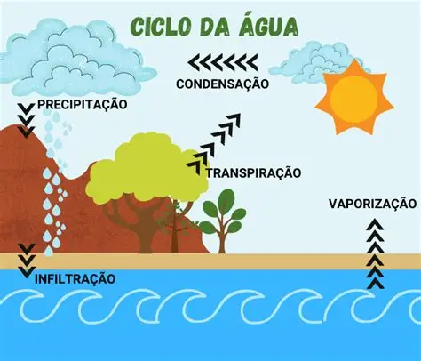 O Ciclo da Água no Solo