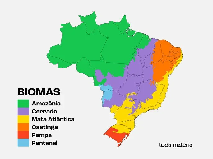 Imagem ilustrativa do exercício - clique para ampliar