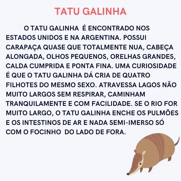 Imagem da questão