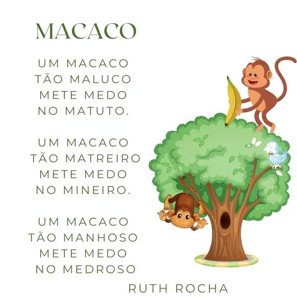 Imagem da questão