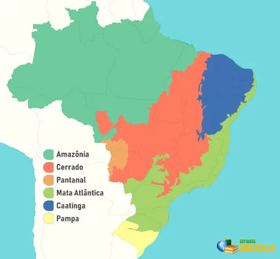 Biomas brasileiros