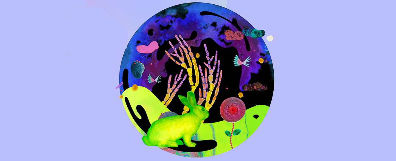 9 ano trilha 1 artes/biologia